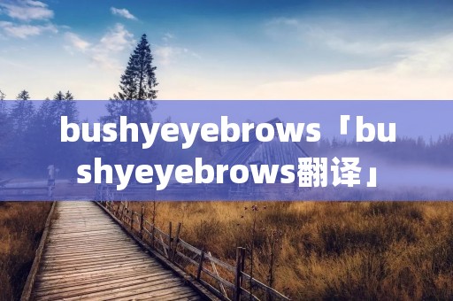 bushyeyebrows「bushyeyebrows翻译」