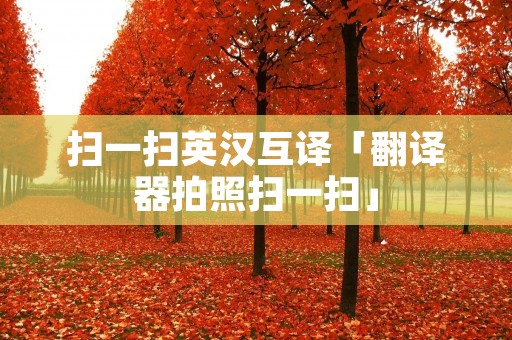 扫一扫英汉互译「翻译器拍照扫一扫」