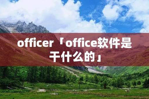officer「office软件是干什么的」