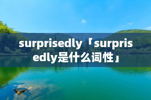 surprisedly「surprisedly是什么词性」