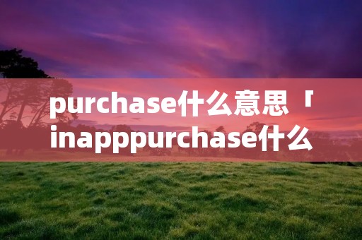 purchase什么意思「inapppurchase什么意思」