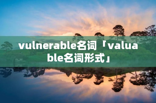 vulnerable名词「valuable名词形式」