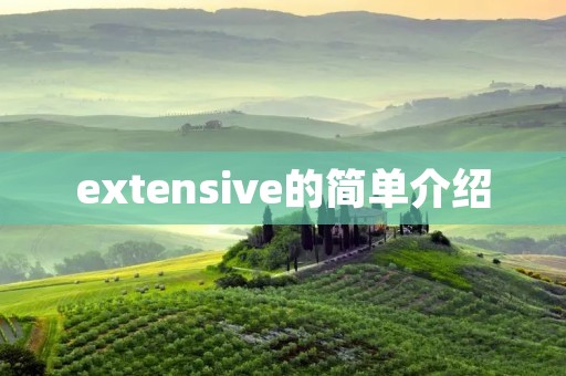 extensive的简单介绍