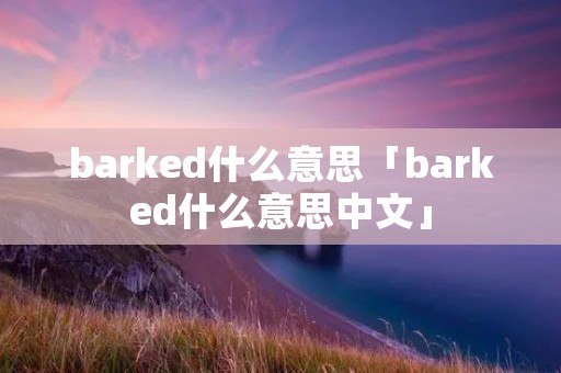 barked什么意思「barked什么意思中文」