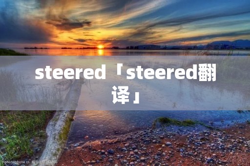 steered「steered翻译」