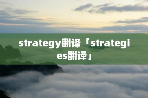 strategy翻译「strategies翻译」