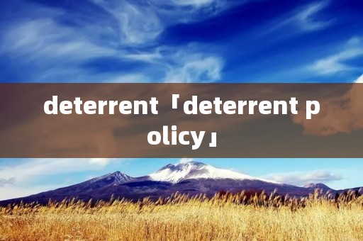 deterrent「deterrent policy」
