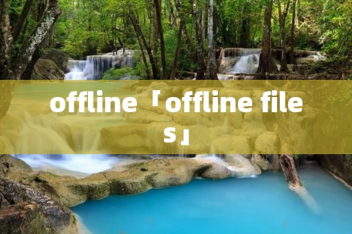 offline「offline files」