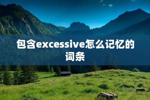 包含excessive怎么记忆的词条