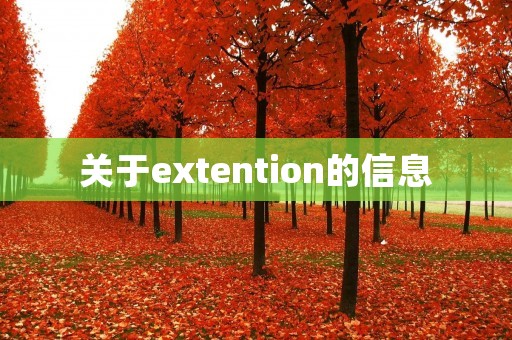 关于extention的信息