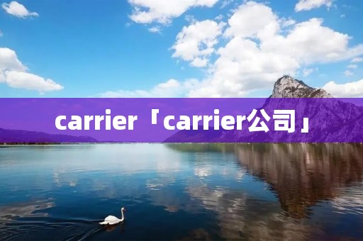 carrier「carrier公司」