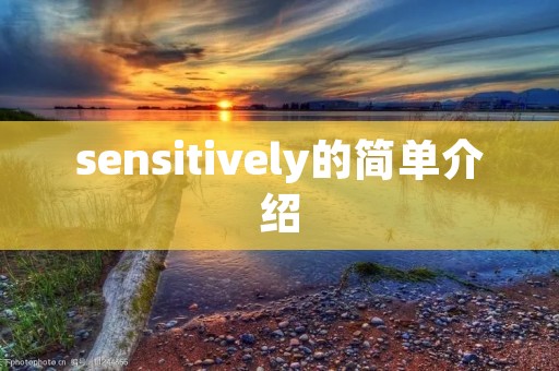 sensitively的简单介绍 sensitively的简单介绍