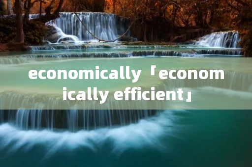 economically「economically efficient」
