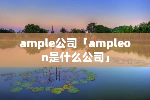 ample公司「ampleon是什么公司」