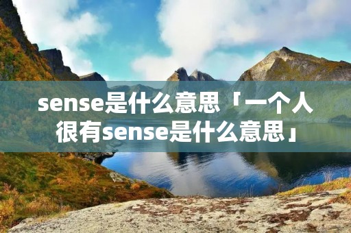 sense是什么意思「一个人很有sense是什么意思」