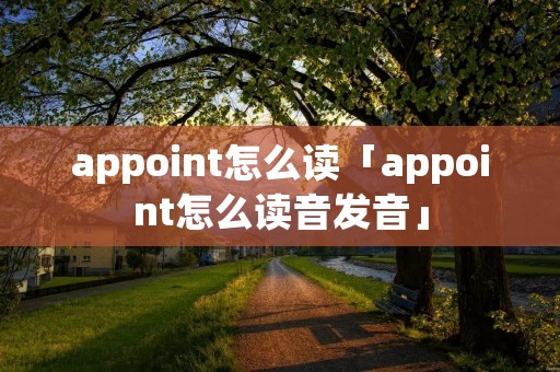appoint怎么读「appoint怎么读音发音」