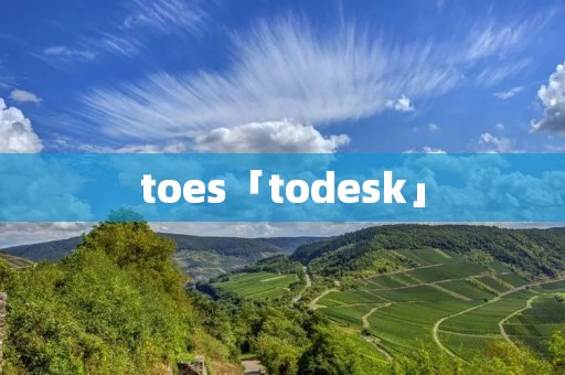 toes「todesk」