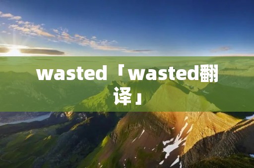 wasted「wasted翻译」