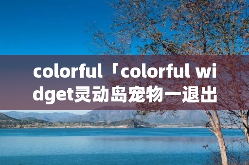 colorful「colorful widget灵动岛宠物一退出程序就没有」