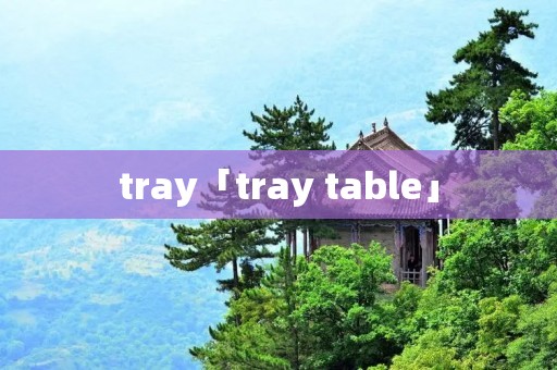tray「tray table」