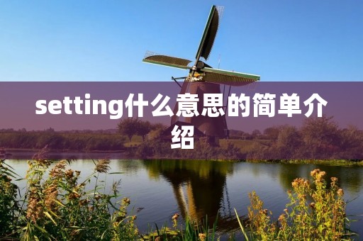 setting什么意思的简单介绍 setting什么意思的简单介绍