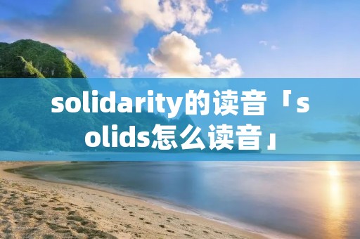 solidarity的读音「solids怎么读音」