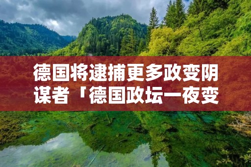 德国将逮捕更多政变阴谋者「德国政坛一夜变天」