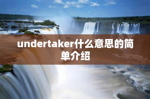 undertaker什么意思的简单介绍 undertaker什么意思的简单介绍