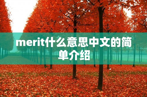 merit什么意思中文的简单介绍 merit什么意思中文的简单介绍