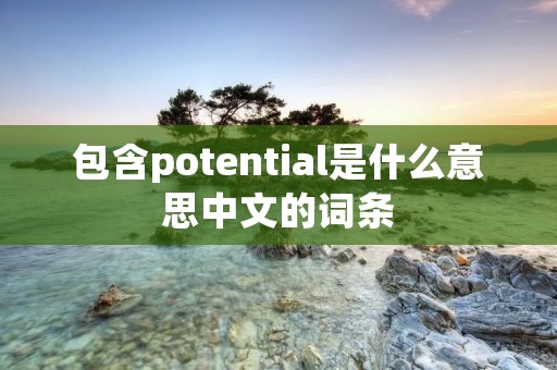包含potential是什么意思中文的词条