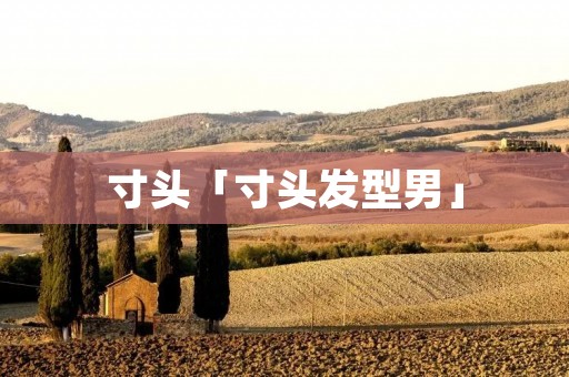 寸头「寸头发型男」