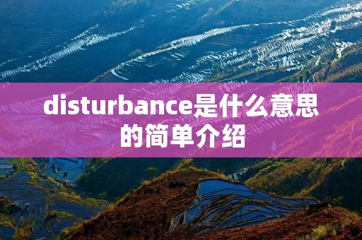 disturbance是什么意思的简单介绍