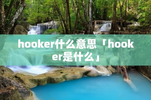 hooker什么意思「hooker是什么」