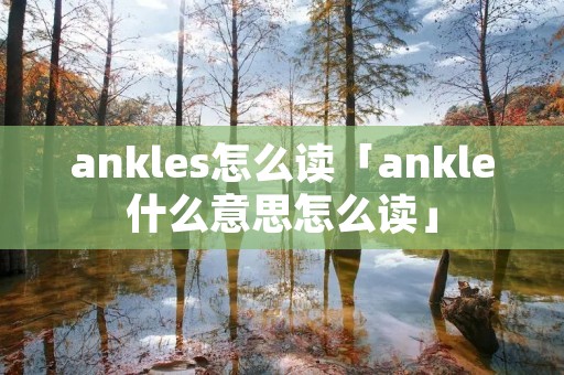 ankles怎么读「ankle什么意思怎么读」