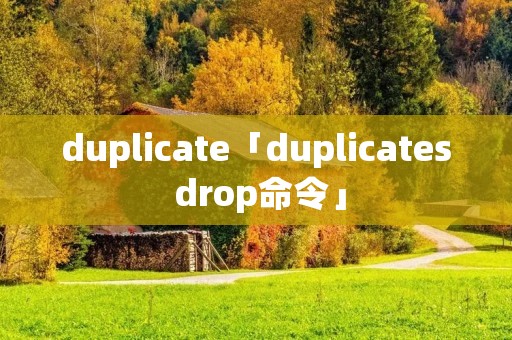 duplicate「duplicates drop命令」