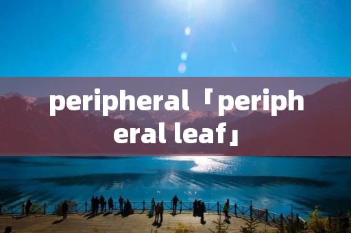 peripheral「peripheral leaf」