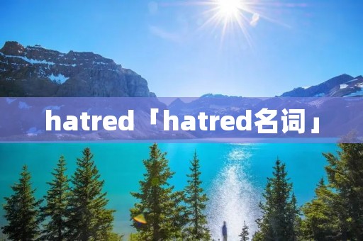 hatred「hatred名词」