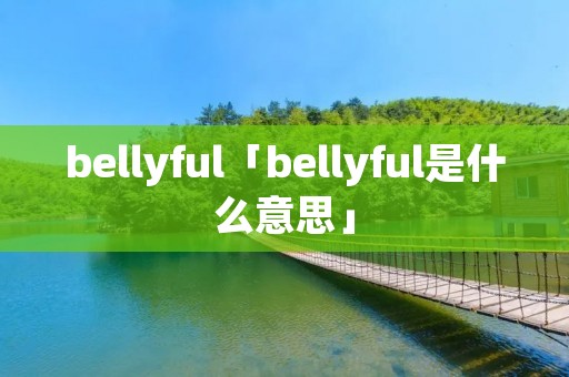 bellyful「bellyful是什么意思」