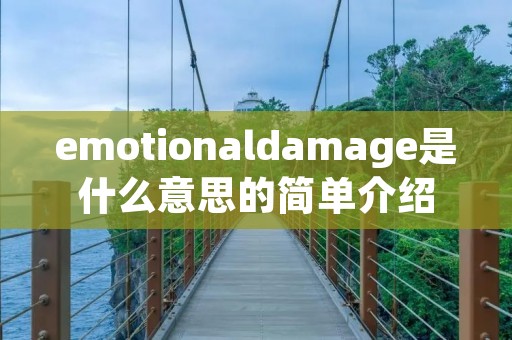 emotionaldamage是什么意思的简单介绍 emotionaldamage是什么意思的简单介绍