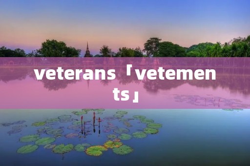 veterans「vetements」