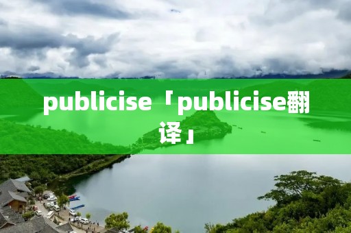 publicise「publicise翻译」