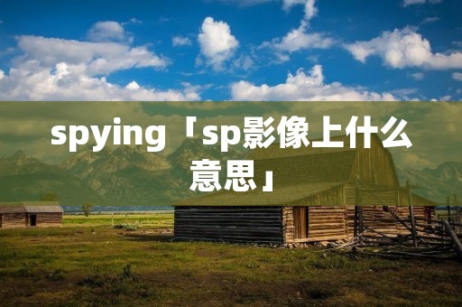 spying「sp影像上什么意思」 spying「sp影像上什么意思」