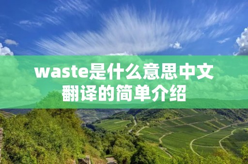 waste是什么意思中文翻译的简单介绍