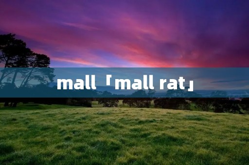 mall「mall rat」 mall「mall rat」
