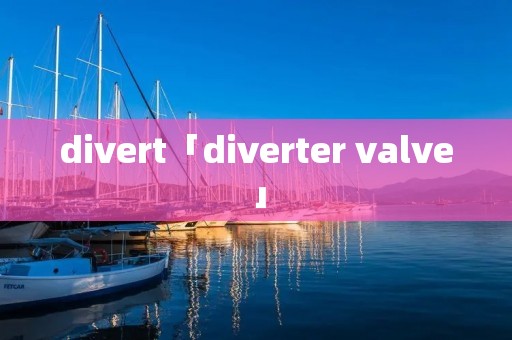 divert「diverter valve」