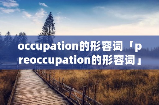 occupation的形容词「preoccupation的形容词」 occupation的形容词「preoccupation的形容词」