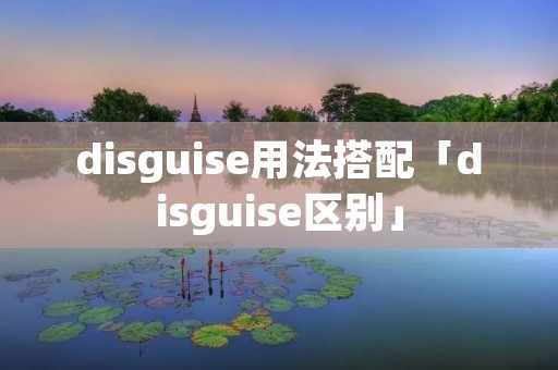 disguise用法搭配「disguise区别」