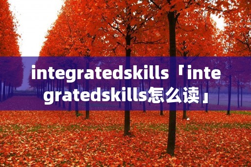 integratedskills「integratedskills怎么读」