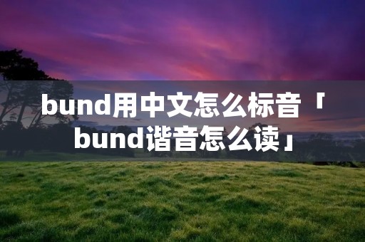 bund用中文怎么标音「bund谐音怎么读」
