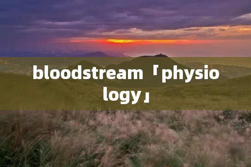 bloodstream「physiology」 bloodstream「physiology」